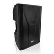 Imagen de CAJA ACUSTICA LEXEN PRO PSW15ABT